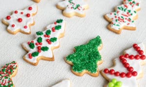 The Best Cut-Out Vanilla Sugar Cookies | The Budget Mom